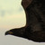 :iconrwphoto74: