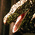 :iconrwykyyr: