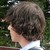 :iconry167: