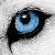 :iconry55: