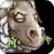 :iconryanamite: