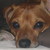 :iconryanners:
