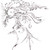:iconryantaylorart:
