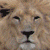 :iconryanvince: