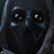 :iconrydelio: