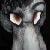 :iconrydell382: