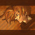 :iconryegon: