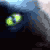 :iconrygel56: