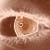 :iconryguyy: