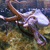 :iconRynSerenity: