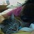 :iconryokitteh: