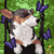 :iconryokoceres:
