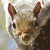 :iconryoshi22: