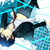 :iconryotaka: