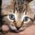 :iconryoungartist: