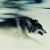 :iconryravage: