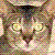 :iconryuaku: