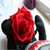 :iconryukloveappels: