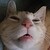 :iconryuksdomain: