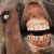:iconryunde: