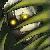 :iconryuuyoukaigurl: