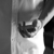 :iconrzrbckdesign: