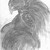 :icons0lanine: