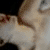 :icons0nne: