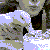 :icons0ulpower: