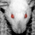 :icons1lencer:
