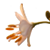:icons23b: