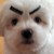 :icons2leona: