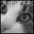 :icons-annee: