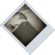 :icons-c-w: