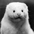:icons-chama: