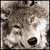 :icons-helgeson: