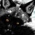 :icons-i-l-v-e-r-f-o-x: