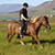 s-lilje :icons-lilje: