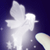 :icons-lilly: