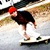 :icons-m-i-t-f-9070: