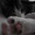 :icons-mikola93: