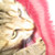 :icons-ofye: