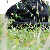 :icons-otherside: