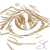 :icons-s-sara: