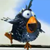 :icons-scattered: