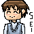 :icons-sei: