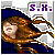 :icons-xiang: