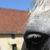 sa777 :iconsa777: