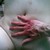 :iconsabatiel-999: