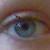 :iconsabbscat: